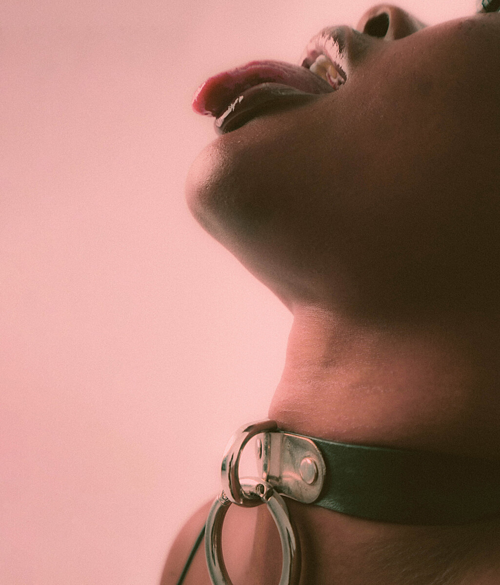 BDSM: Příručka Sexiomů